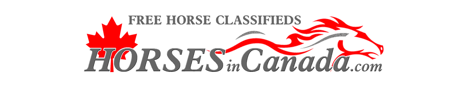 Horses in Canada, free classified ads and advertising opportunities